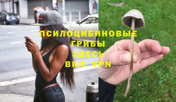 крисы Балабаново