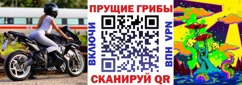 Купить  Боготол  Псилоцибиновые грибы MAGIC MUSHROOMS 